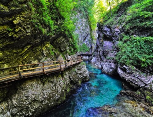 Isola Bella – Beautiful Island…What a perfect name!!!