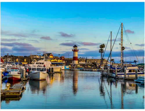 Happy Motivation Monday – First Monday of 2021