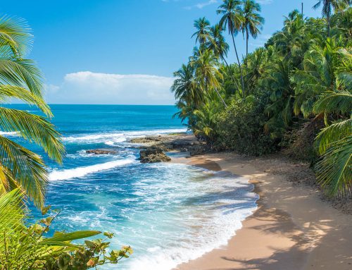 Costa Rica “Pura Vida”